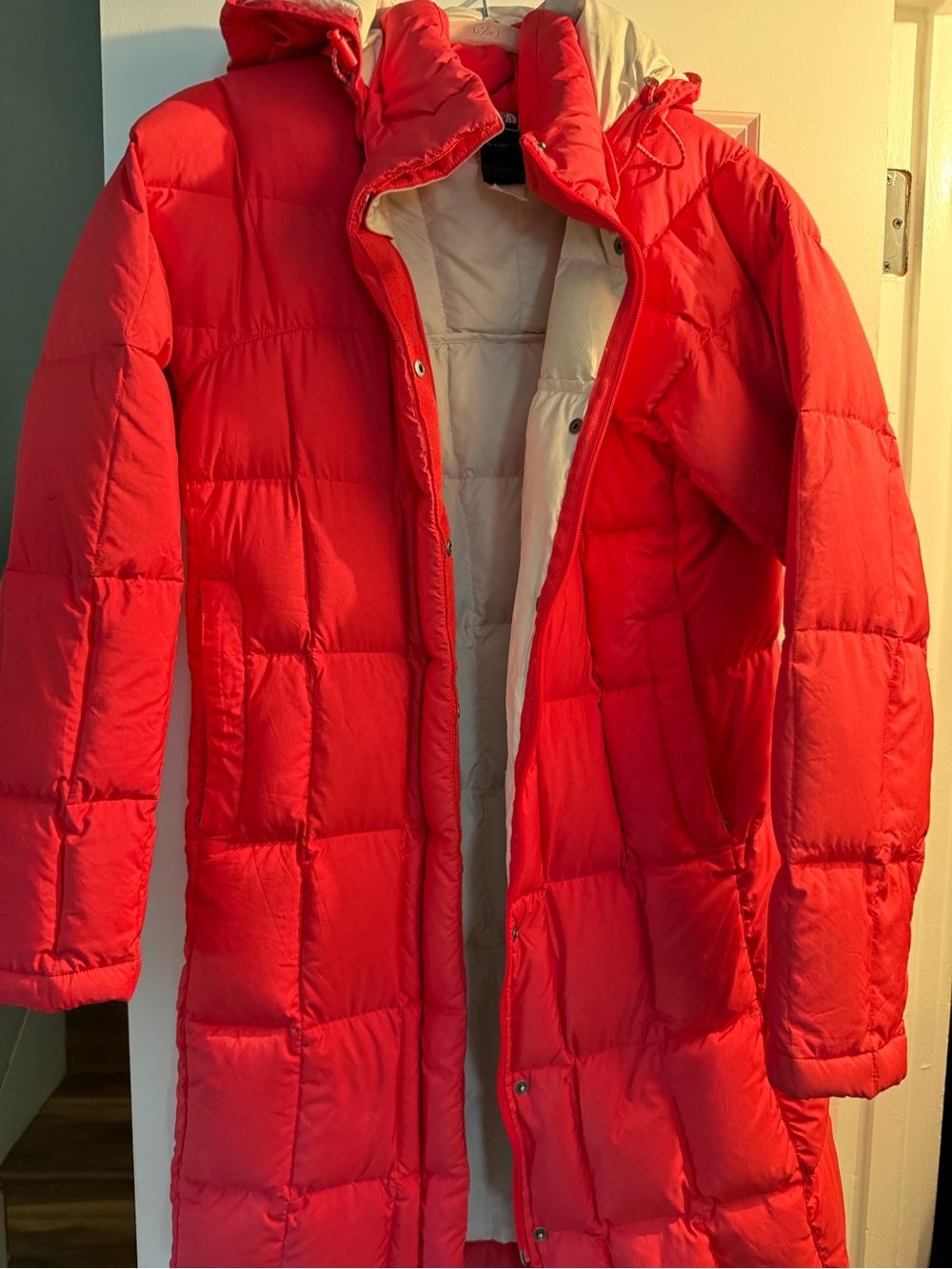 The North Face Long Puffer Coat with Hood ( Size Small)